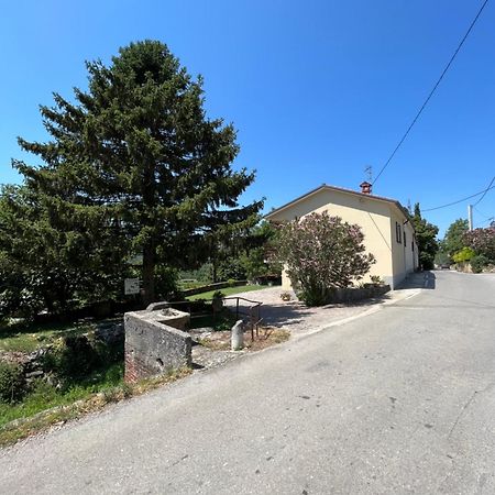 Apartmaji Klabjan - Kaki Osp Exteriér fotografie